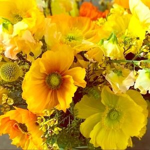 3 X Host Pick!! Thanks for stopping by!!